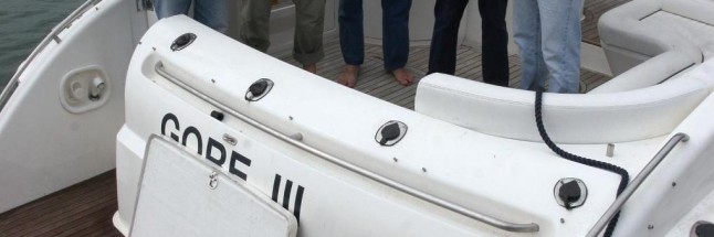 GORE DE GABINO GOROSTIZA